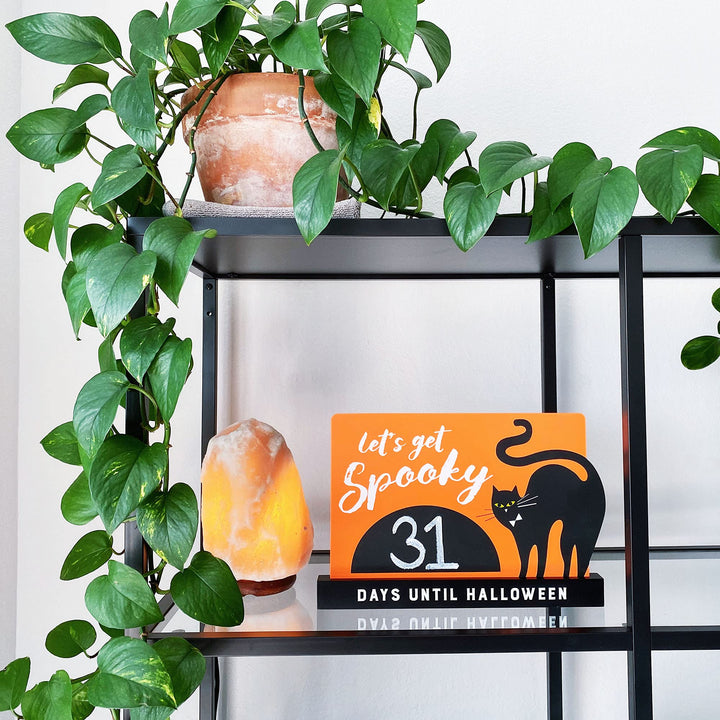 Pearhead Halloween Countdown Sign, Lets Get Spooky Tabletop Décor, Halloween Chalkboard Sign