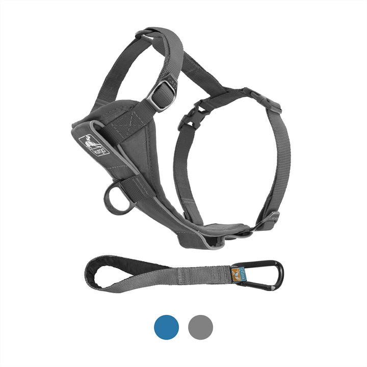 Kurgo Dog Harness | Pet Walking Harness | No Pull Harness Front Clip Feature for Training Included | Car Seat Belt | Tru-Fit Quick Release Style | Medium | Grey