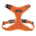 Voyager Step-in Lock Pet Harness - All Weather Mesh, Adjustable Step in Harness for Cats and Dogs by Best Pet Supplies - Orange, XS Harness (Orange) XS (Chest: 13 - 16" * Fit Cats)