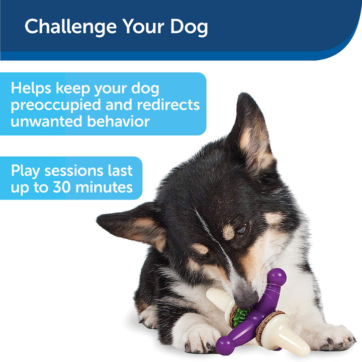 PetSafe Busy Buddy Treat Holding Jack Dog Toy – Strong Chewers - Challenging - Treat Rings Included - Large Purple