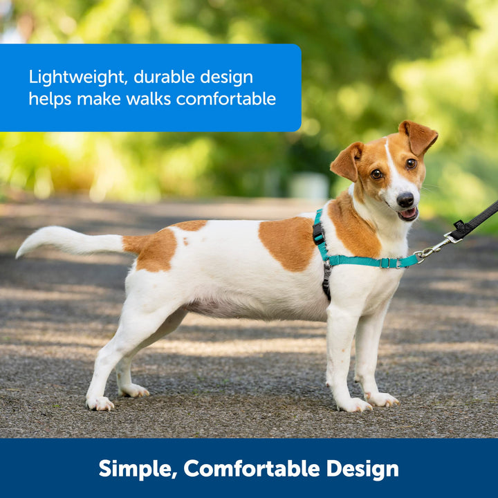 PetSafe Easy Walk Dog Harness - Stop Pulling & Teach Leash Manners - Prevent Pulling on Walks - Medium, Charcoal/Black