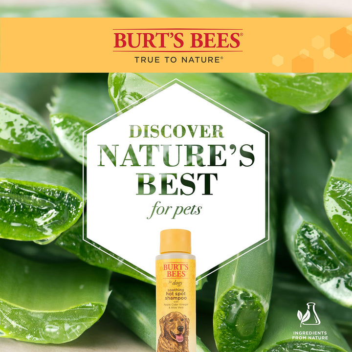Burt's Bees for Pets Natural Hot Spot Shampoo with Apple Cider Vinegar & Aloe Vera | Soothing & Relieving Hot Spot Remedy for Dog | Cruelty Free, Sulfate & Paraben Free, pH Balanced for Dogs | 16 Oz 16 Fl Oz (Pack of 1)