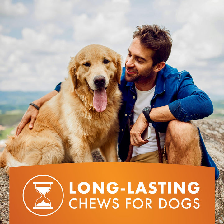 Dog Treats, K9 Kabobs for Dogs Made with Real Chicken, Duck, and Sweet Potato, 12 Ounces, Healthy, Easily Digestible, Long-Lasting, High Protein Dog Treat, Satisfies Dog's Urge to Chew Chicken / Duck / Sweet Potato Kabob