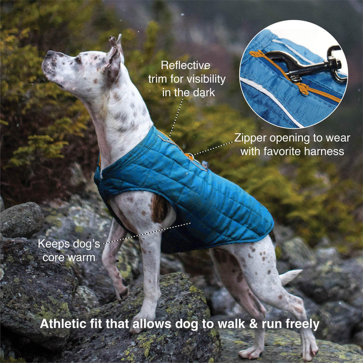 Kurgo Loft Dog Jacket, Reversible Dog Coat, Wear with Harness or Sweater, Water Resistant, Reflective, Winter Coat For Large Dogs (Fall Festival, XL) Extra Large Fall Festival