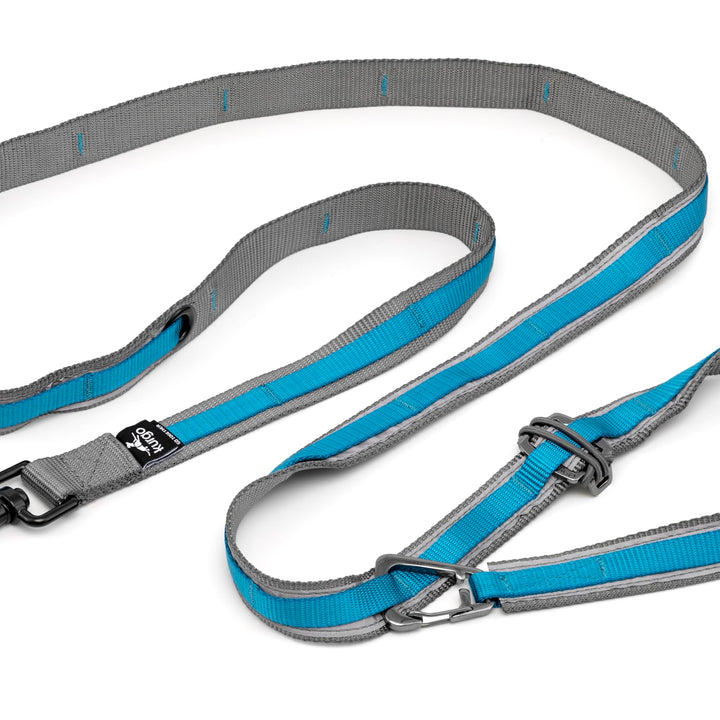 Kurgo 6 in 1 Quantum Leash, Hands Free Leash for Dogs, Running Belt Lead, Crossbody & Waist Belt Style, Reflective, Carabiner Clip, for Training, Hiking, or Jogging, 4 Colors,Blue Blue
