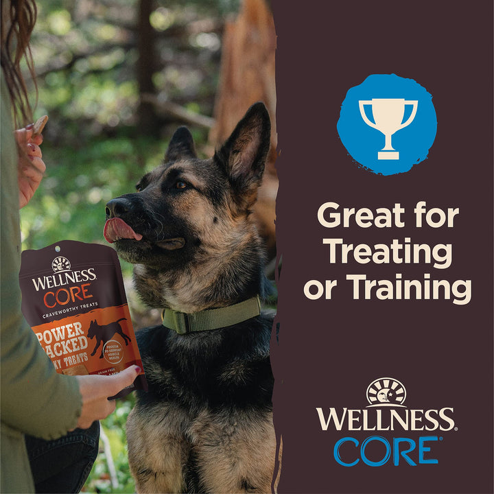 Wellness CORE Power Packed Dog Treats, Grain-Free Tender Jerky Treats, Made in USA (Chicken & Lamb Recipe, 4-Ounce Bag) Chicken & Lamb 4 Ounce (Pack of 1)