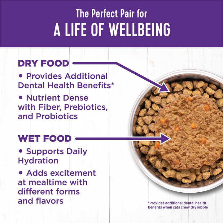 Wellness Complete Health Grain-Free Wet Canned Kitten Food, Natural Ingredients, Made with Real Meat, All Breeds, Smooth Pate (Kitten, Whitefish, 5.5-Ounce Can, Pack of 24) Whitefish & Tuna 5.5 Ounce (Pack of 24)