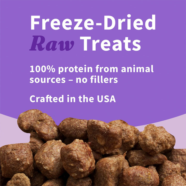 Halo Raw Freeze Dried Dog Treats, Beef Recipe, Dog Treats Pouch, All Life Stages, 2.5-OZ Pouch 2.5 Ounce (Pack of 1)