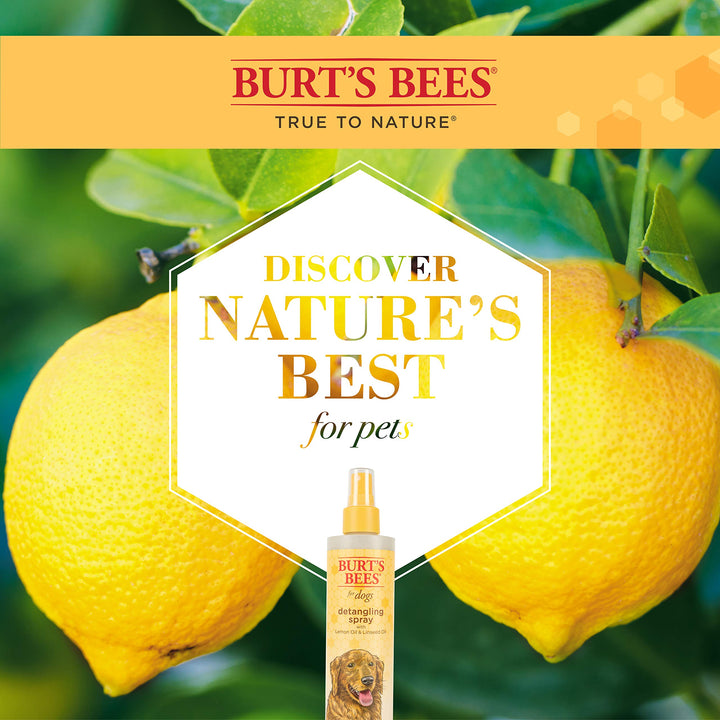 Burt's Bees for Pets Detangling Spray | Made with Lemon & Linseed to Nourish Dogs' Coats | Best Fur Detangler, Cruelty Free, Sulfate & Paraben Free, pH Balanced for Dogs - Made in USA, 10 Oz - 2 Pack