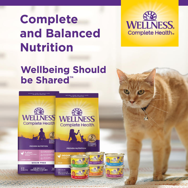 Wellness Complete Health Grain-Free Wet Canned Cat Food, Natural Ingredients, Made with Real Meat, All Breeds, Smooth Pate (Turkey & Salmon, 12.5-Ounce Can, Pack of 12) Turkey 12.5 Ounce (Pack of 12)