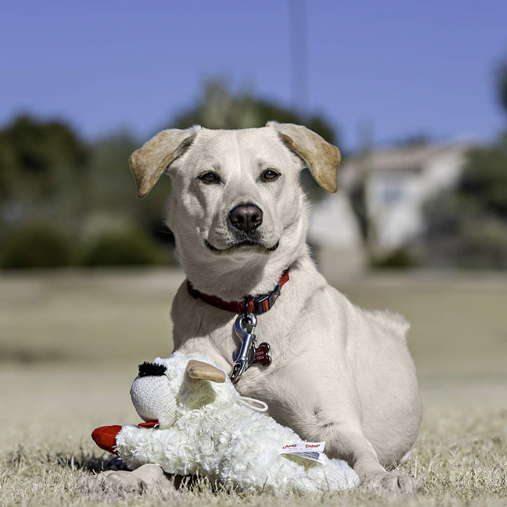Multipet Standing Lamb Chop 13" Dog Toy White 13" Standing