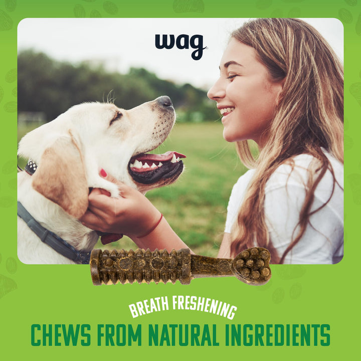 Brand - Wag Dental Chews - Green Dental Brush for Dogs, Large, Unflavored, 24 Count (Pack of 1) 2.25 Pound (Pack of 1) Large Dogs (50 – 100 lb)