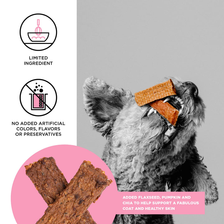 BIXBI Skin & Coat Support Salmon Jerky Dog Treats, 10 oz - USA Made Grain Free Dog Treats - Antioxidant Rich to Support Shiny, Full Bodied Coats - High in Protein, Whole Food Nutrition, No Fillers