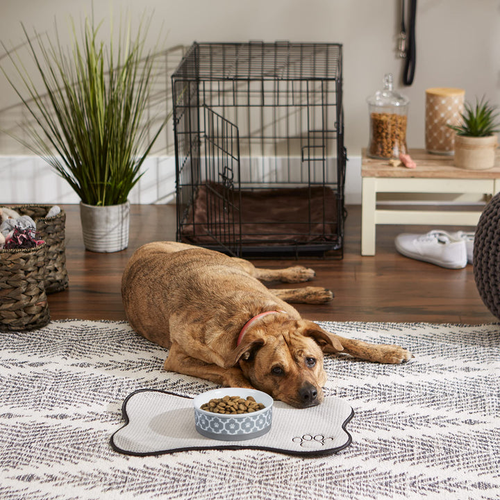 Bone Dry Lattice Pet Bowl, Removable Silicone Ring Creates Non-Slip Bottom for Secure Feeding & Less Mess, Microwave & Dishwasher Safe, Single Dish, Medium 6x2", Gray Single Dish, Medium 6x2"