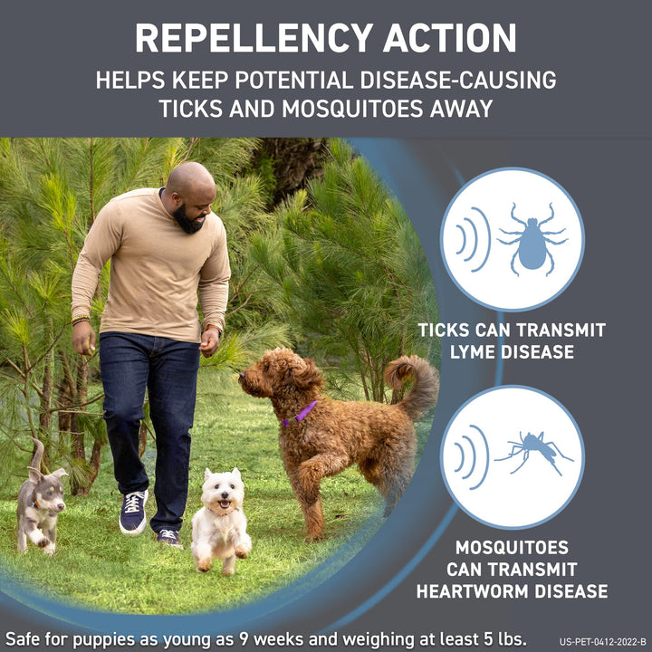 FRONTLINE Shield Flea & Tick Treatment for Large Dogs 41-80 lbs., Count of 3 3 Count