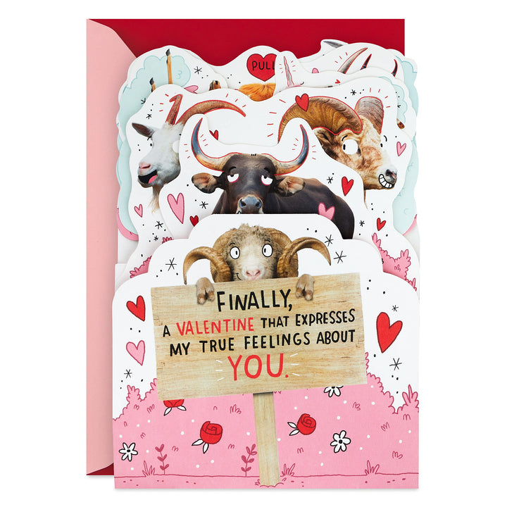 Hallmark Funny Pop Up Valentines Day Card for Husband, Wife, Boyfriend, Girlfriend (Horny Animals) Pop Up, Horny Animals