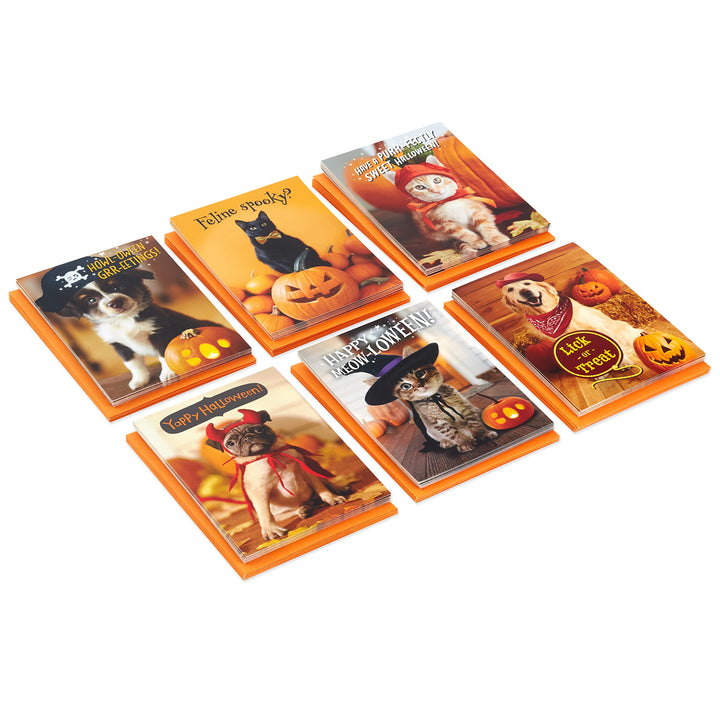 Hallmark Halloween Cards Assortment, Pet Puns (48 Cards with Envelopes) Halloween Punny Pets Card Assortment