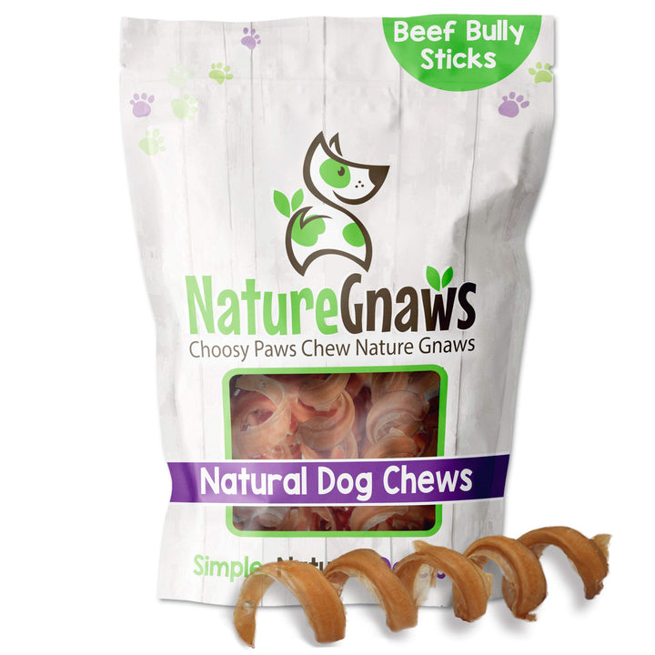 Nature Gnaws Bully Stick Springs for Dogs - Premium Natural Beef Dental Bones - Long Lasting Curly Dog Chew Treats for Aggressive Chewers - Rawhide Free 12 Count (Pack of 1) 12 Count (Pack of 1)