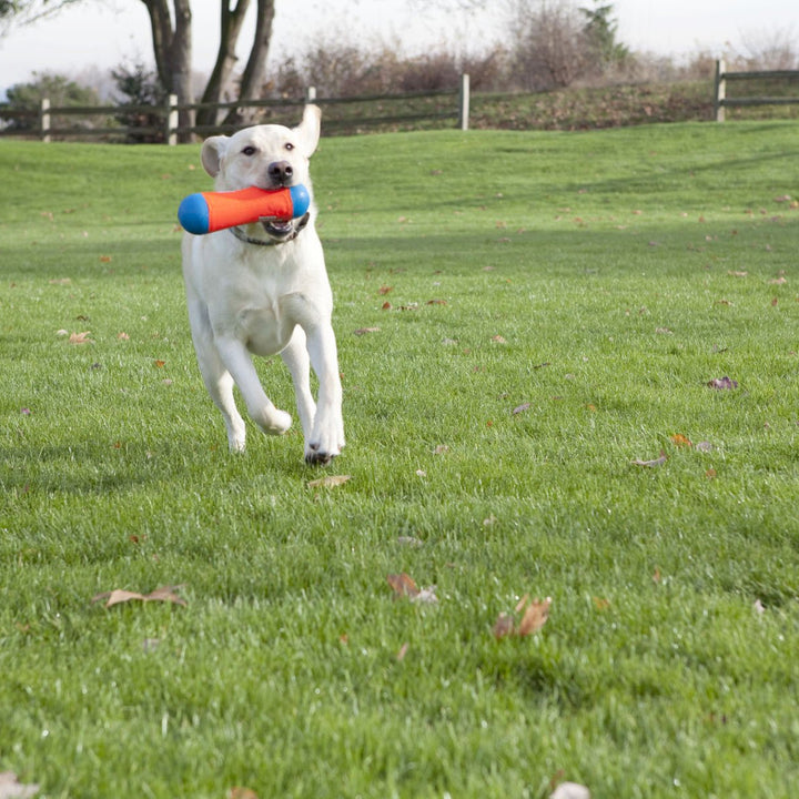 Chuckit! Amphibious Tumble Bumper Dog Toy, Floats on water,Large Large Tumbler Bumper