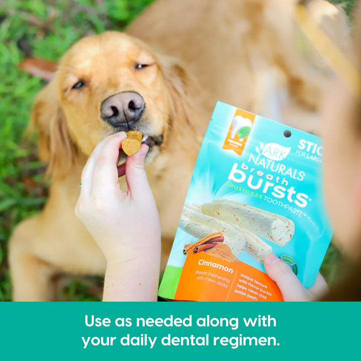 ARK NATURALS Breath Bursts Brushless Toothpaste, Dog Dental Sticks for Large Breeds, Unique Texture Helps Clean Teeth & Freshen Breath, Cinnamon, 6 oz, 1 Pack 6 Ounce (Pack of 1)