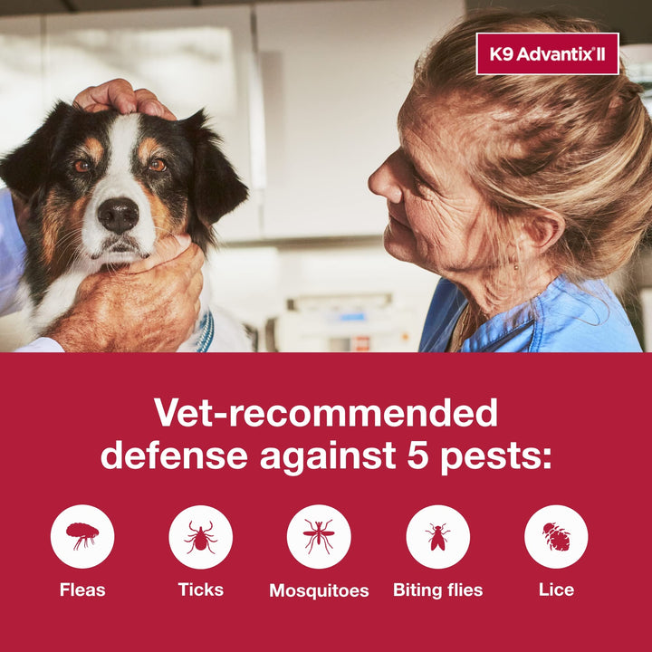 K9 Advantix II Large Dog Vet-Recommended Flea, Tick & Mosquito Treatment & Prevention | Dogs 21-55 lbs. | 1-Mo Supply 1 Pack Large Dog only