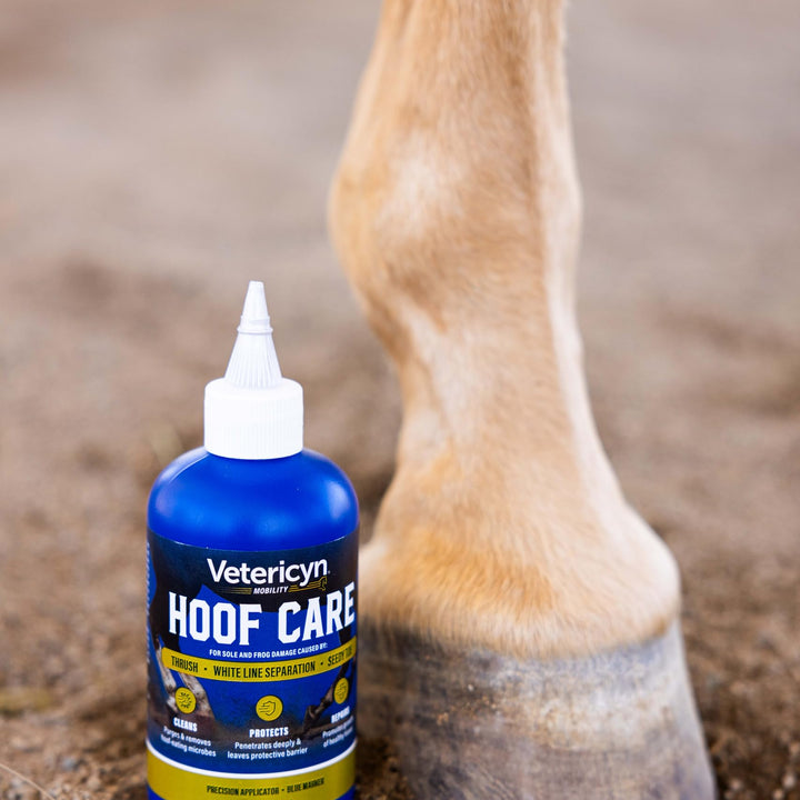 Vetericyn Equine Hoof Care for Sole and Frog Damage Caused by Thrush, White Line Separation, and Seedy Toe – 8 Ounces