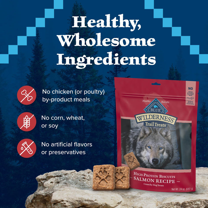 Blue Buffalo Wilderness Trail Treats Crunchy Dog Biscuits, Grain-Free and High-Protein Dog Treats Made with Natural Ingredients, Salmon Recipe 24-oz. Bag 1.5 Pound (Pack of 1)