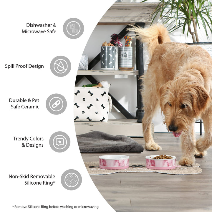 Bone Dry Lattice Pet Bowl, Removable Silicone Ring Creates Non-Slip Bottom for Secure Feeding & Less Mess, Microwave & Dishwasher Safe, Small Set, 4.25x2", Gray, 2 Count
