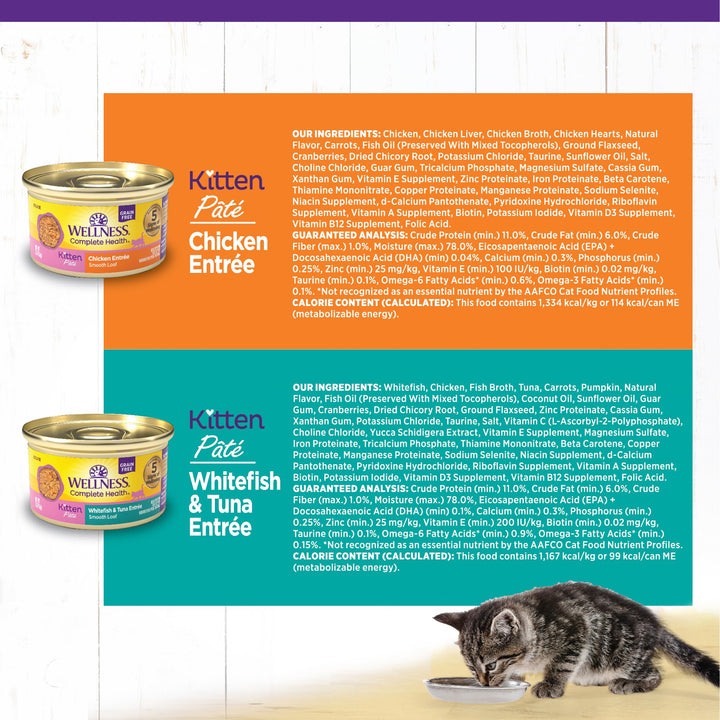 Wellness Complete Health Grain-Free Wet Canned Kitten Food, Natural Ingredients, Made with Real Meat, All Breeds, Smooth Pate (Kitten, Whitefish, 5.5-Ounce Can, Pack of 24) Whitefish & Tuna 5.5 Ounce (Pack of 24)