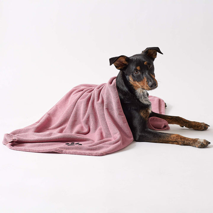 Bone Dry Pet Grooming Towel Collection Absorbent Microfiber X-Large, 41x23.5", Embroidered Rose 41x23.5"