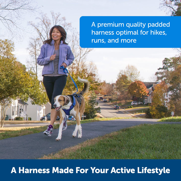 PetSafe EasySport Harness, Adjustable Padded Dog Harness with Control Handle and Reflective Piping, from The Makers of The Easy Walk Harness Orange Small