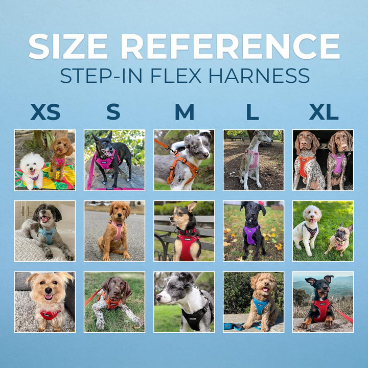Best Pet Supplies Voyager Adjustable Dog Harness with Reflective Stripes for Walking, Jogging, Heavy-Duty Full Body No Pull Vest with Leash D-Ring, Breathable All-Weather - Harness (Purple), M Harness (Purple) M (Chest: 17 - 21")