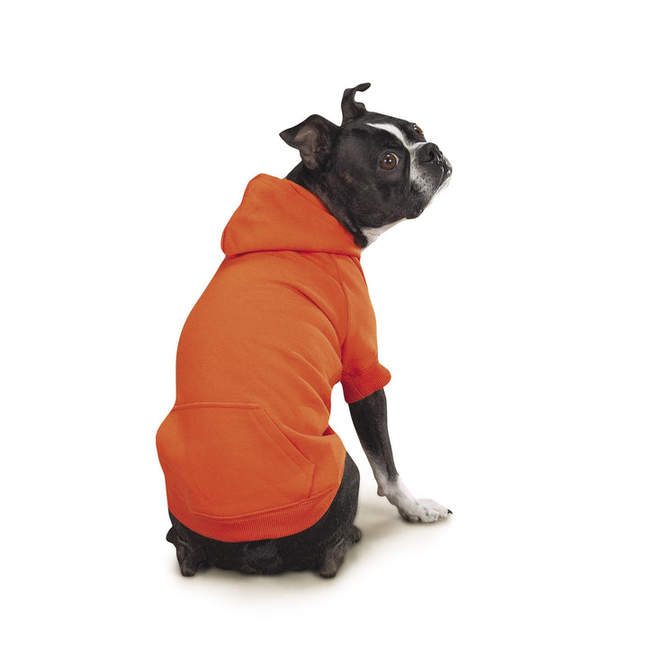 Zack & Zoey Basic Hoodie for Dogs, 20" Large, Vibrant Orange L (Neck: 17", Girth: 28", Back: 20")