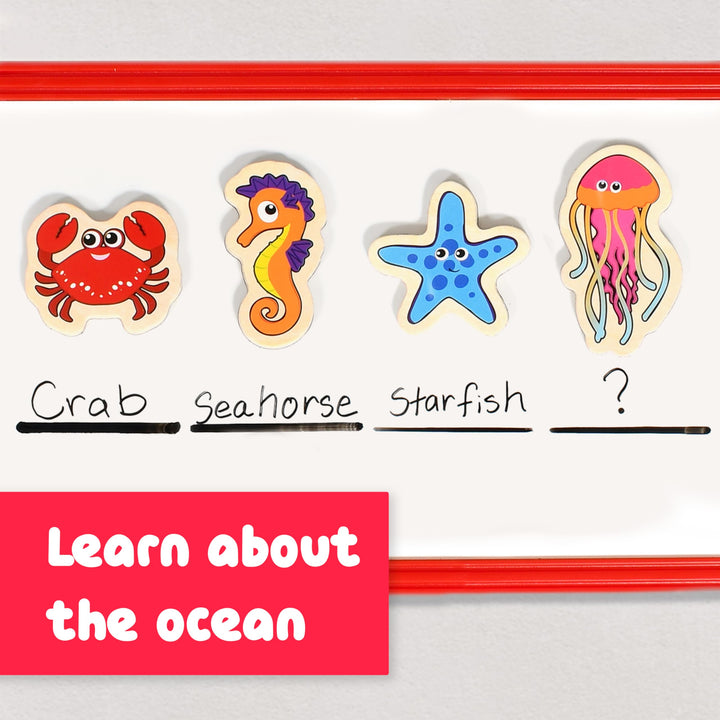 SPARK & WOW Wooden Magnets - Sea Life - Set of 20 - Magnets for Kids Ages 2+ - Cute Animal Magnets for Fridges, Whiteboards and More