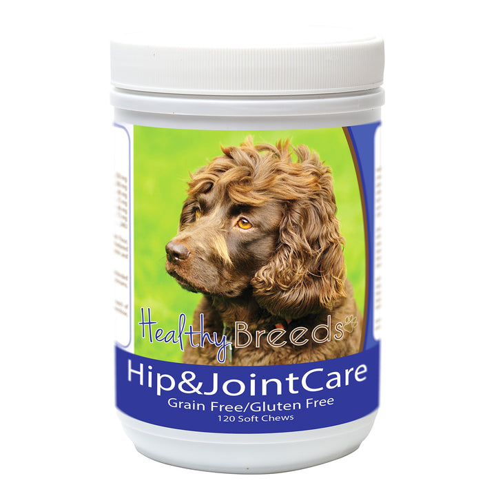 Healthy Breeds Boykin Spaniel Hip and Joint Care 120 Count