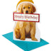 American Greetings Birthday Card (Couldn't Ever Forget)