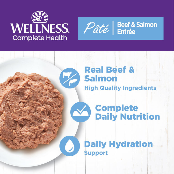 Wellness Complete Health Grain-Free Wet Canned Cat Food, Natural Ingredients, Made with Real Meat, All Breeds, Smooth Pate (Turkey & Salmon, 12.5-Ounce Can, Pack of 12) Turkey 12.5 Ounce (Pack of 12)