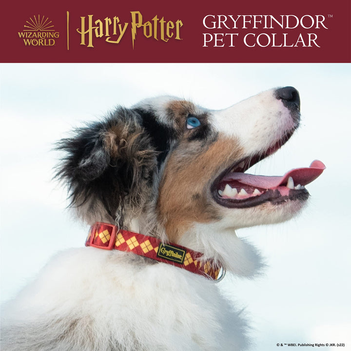 Harry Potter Gryffindor Dog Collar in Size Small| Small Dog Collar, Harry Potter Dog Collar | Harry Potter Dog Apparel & Accessories for Hogwarts Houses, Gryffindor