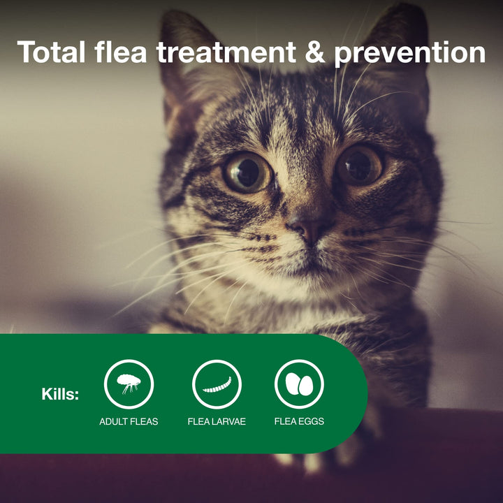 Advantage II Small Cat Vet-Recommended Flea Treatment & Prevention | Cats 5-9 lbs. | 6-Month Supply 6 Pack Small Cat only