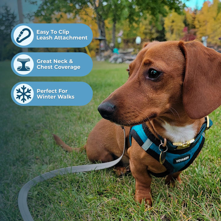 Voyager Step-In Plush Dog Harness – Soft Plush, Step In Vest Harness for Small and Medium Dogs by Best Pet Supplies - Harness (Turquoise Plush), XS (Chest: 13 - 14.5") Harness (Turquoise Plush) XS (Chest: 13 - 14.5")