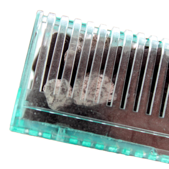 Penn-Plax Small World Aquarium Filter – Comes with a Disposable Media Cartridge (Bio Sponge, Carbon, and Zeolite Crystals) – Safe for Freshwater and Saltwater Setups (SWF1)