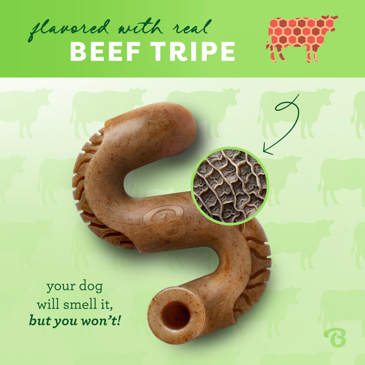 Benebone Tripe Bone Durable Dog Chew Toy for Aggressive Chewers, Real Tripe, Made in USA, Large