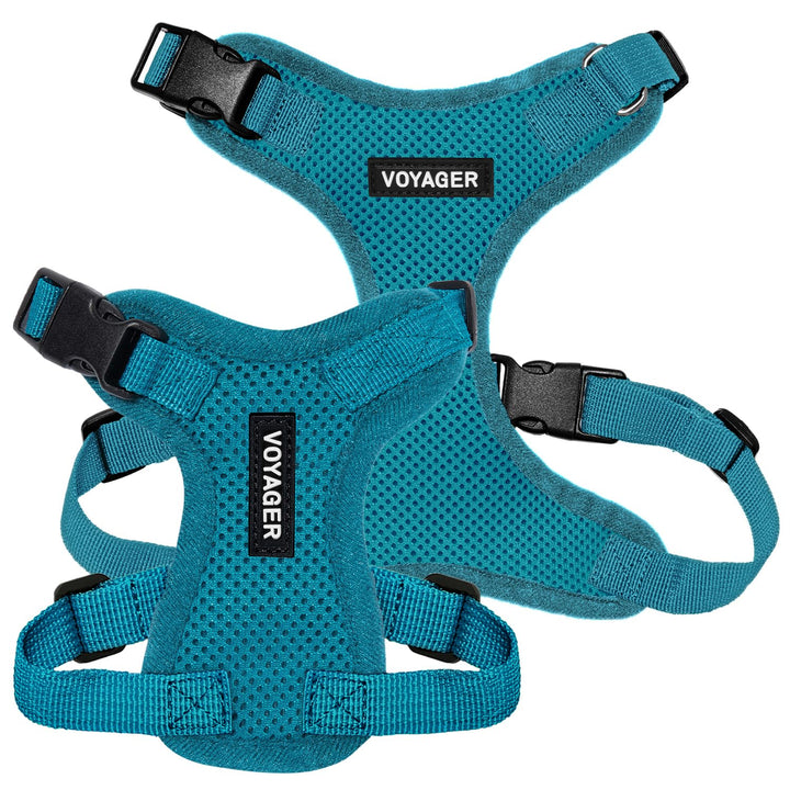 Voyager Step-in Lock Pet Harness - All Weather Mesh, Adjustable Step in Harness for Cats and Dogs by Best Pet Supplies - Turquoise, XS Harness (Turquoise) XS (Chest: 13 - 16")