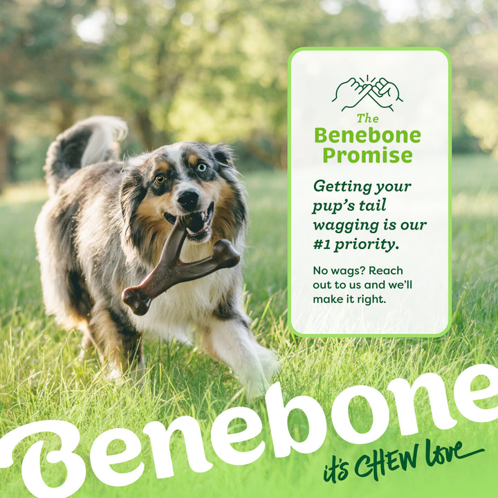 Benebone Indestructible Wishbone Dog Chew Toy for Aggressive Chewers, Long Lasting Tough Boredom Breaker for Dogs, Real Peanut Flavour, For Medium Dogs, Made in the USA.