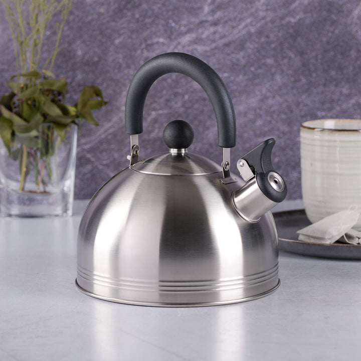 Mr. Coffee Carterton Stainless Steel Whistling Tea Kettle, 1.5-Quart, Mirror Polish