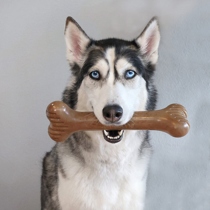 Lumabone Bulkster Durable Chew Toy for Aggressive Chewers, Real Beef, Made in USA, Colossal