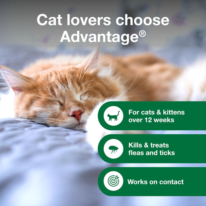Advantage Flea and Tick Treatment Shampoo for Cats and Kittens, 8 oz