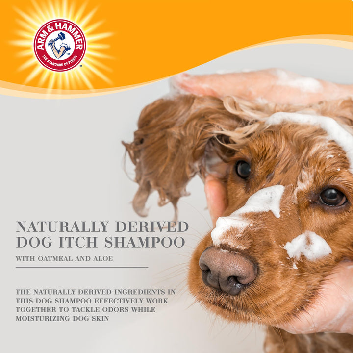 Arm & Hammer for Pets Ultra Fresh Dog Deodorizing Foam, Juniper Mist Scent - No Rinse Waterless Dog Shampoo for Smelly Dogs, Pet Deodorizer, Bathing Supplies, 8 Fl Oz No-Rinse Deodorizing Foam for Dogs 8 Fl Oz (Pack of 1)