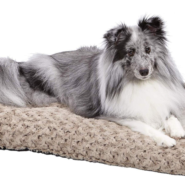 MidWest Homes for Pets Deluxe Dog Beds | Super Plush Dog & Cat Beds Ideal for Dog Crates | Machine Wash & Dryer Friendly, 1-Year Warranty Mocha 30-Inch