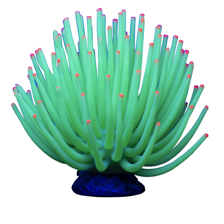 GloFish Anemone Ornament, Detailed Aquarium Ornament, Large Green, Creates A Glowing Effect